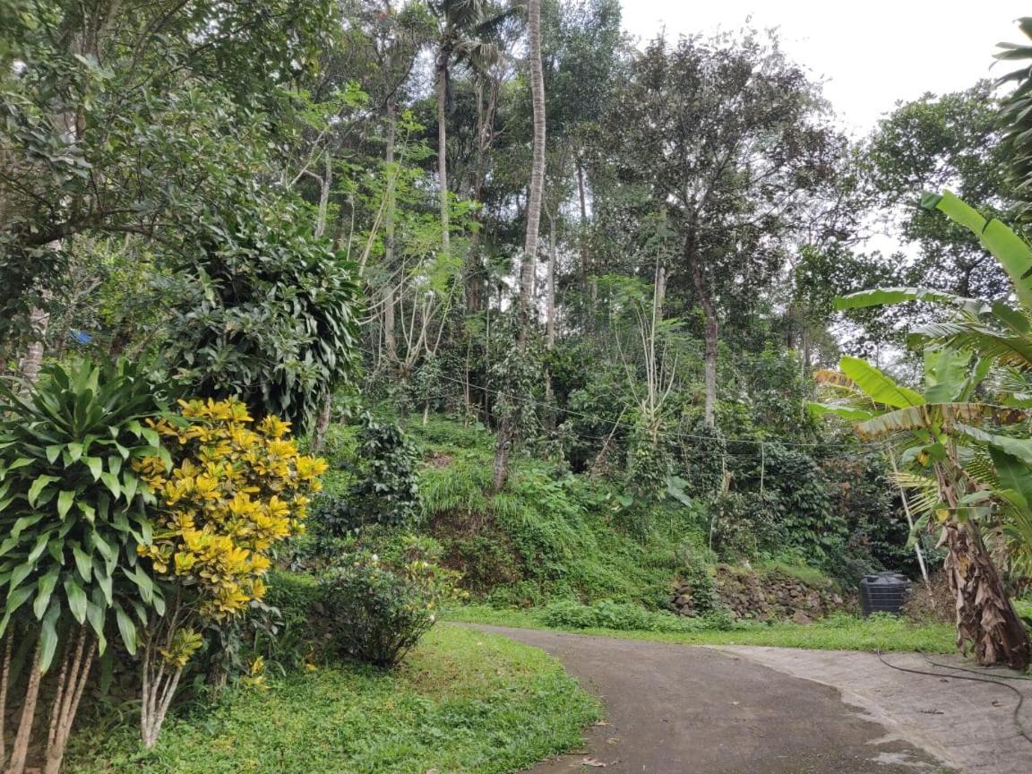 M3 Homes Munnar Exterior photo